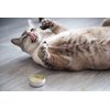 Meowy Janes All Natural Magic Cat Play Powder - Catnip and Silvervine Powder Blend - Cat Toy Dry Rub