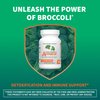 Nutramax Laboratories Avmacol Extra Strength Sulforaphane-Producing Supplement for Detoxification, Antioxidant Support, Immune Health, Adults & Children, Moringa, 30 Tablets