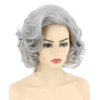 Topcosplay Old Lady Wig and Accessories 5pcs Set Granny Costume Wig Grandma wig Halloween Party Wigs