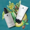 TEMPLESPA | IN GOOD CONDITION | Luxury Hair Conditioner, Lightweight Feel for Soft and Glossy Hair. Free from Parabens, Phthalates and Sulphates, Natural Ingredients, Cruelty-Free, Vegan 10 fl.oz.