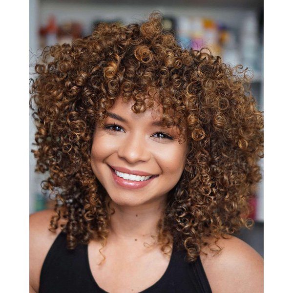 Marshey Afro Curly Wigs with Bangs for Black Women Kinky Curly Synthetic Hair Heat Resistant 12 Inch Short Ginger Wig for Daily Party (Ombre Brown)