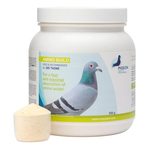 Generic PHP Amino Build 500g - Muscle-Building Amino Acids Pigeon Health & Performance