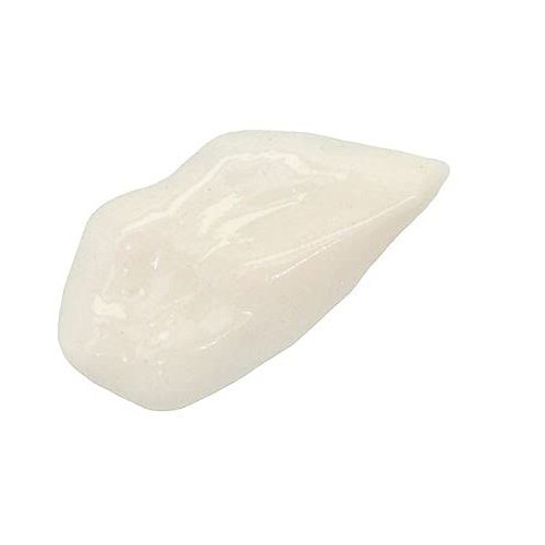 Ready to Wear Perfect Canvas Primer - Reduces Fine Wrinkles Anti Oxidants Anti Aging Skin Primer for Makeup Made in USA