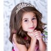 Chanaco Birthday Princess Sash, Tiara and Headband Set - Pink Girl's Party Decorations