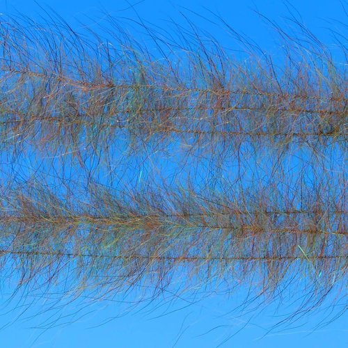 Ep Foxy Brush 1.5" Wide Uv Root Beer