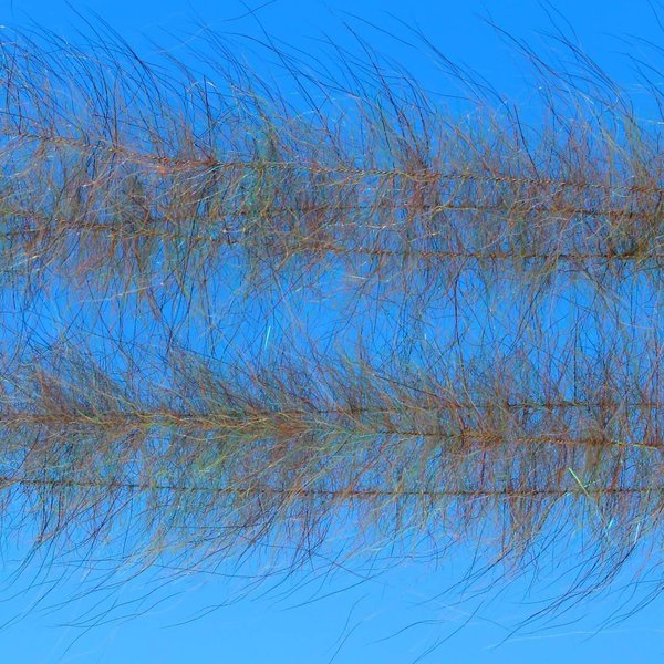 Ep Foxy Brush 1.5" Wide Uv Root Beer