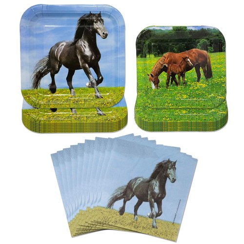 Blue Orchards Horse Party Plates and Napkins (52 Pieces for 16 Guests) - Horse Plates and Napkins, Horse Birthday Party, Cowboy Theme Party, Western Birthday Decorations, Wild Horse Party