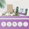 "Coco Fiji Soap Bar for Face and Body Infused With Organic Coconut Oil, Lavender Essential Oil, Natural Soap for Moisturizing & Pore Purifying Skin, 7 oz, Pack Of 3 "