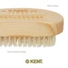 Kent NB3 Natural Bristle Fingernail Brush and Hand Scrub Brush for Nails. Beechwood Finger Nail Brush to Clean Nails and Nail Scrubber Brush for Hands, Feet, Fingernails, and Toenails. Made in England