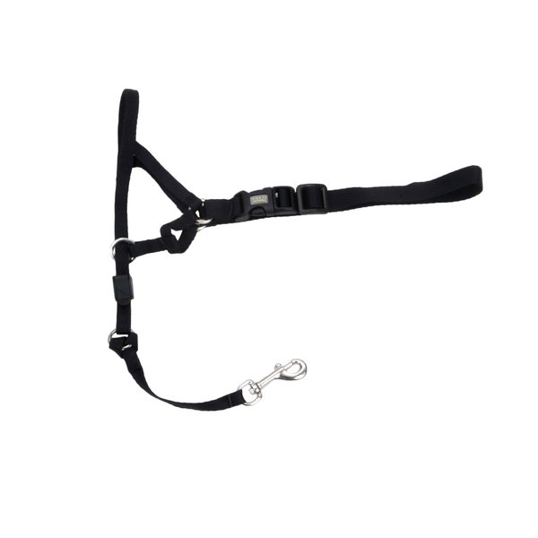 Coastal Pet Walk 'n Train Dog Head Halter - Gentle Leader for Dogs - No-Pull Dog Harness - Quick-Drying Polyester - Black - Medium