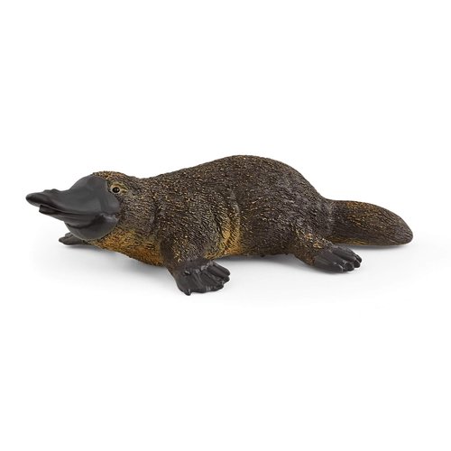 Schleich Wild Life, Animal Figurine, Animal Toys for Boys and Girls 3-8 years old, Platypus, Ages 3+