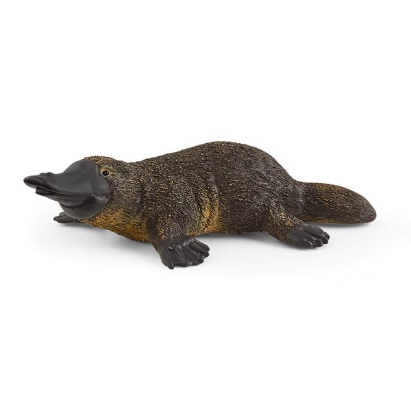 Schleich Wild Life, Animal Figurine, Animal Toys for Boys and Girls 3-8 years old, Platypus, Ages 3+