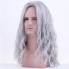 BERON Mens Silver Grey Long Wigs With Halloween Cosplay Costume Party Wig Curly Middle Part Hair Wigs