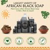 African Black Soap Liquid 8 oz. 100% Raw Pure Natural From Ghana. Acne Treatment, Aids Against Eczema & Psoriasis, Dry Skin, Scars and Dark Spots. Great For Pimples, Blackhead, Face & Body Wash