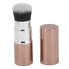 Oil absorbing Volcanic Roller, Reusable Portable Oily Skin Control Roller, Results Remove Excess Shine Rolling Stone with Brush for Oily Skin Care Oil Blotting Sheets