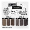 Pulp Riot High Speed Toner 3oz- Silver