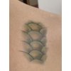 Generic 3 sheets Realistic Snake Scales Temporary Tattoos Halloween Cosplay Costume Body Art Tattoo for Men and Women, Medium, Green