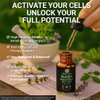 Prime Code NAD+ Liquid Drops with Resveratrol, Vitamin B12 & PQQ – Advanced Cellular Energy & Antioxidant Support – Vegan, Non-GMO, Gluten Free – Fast Absorption Supplement for Men & Women, 2 fl oz