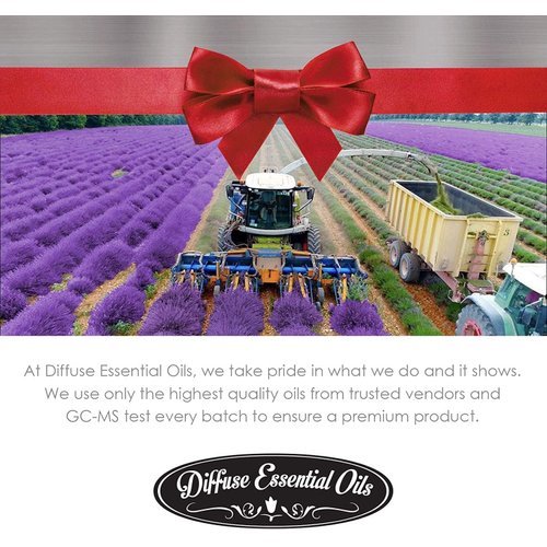 Pure Gold - Sage Essential Oil for Diffuser, Pure Clary Sage Oil Essential Oil - Clary Sage Essential Oil for Skin, Hair, & Aromatherapy - Fragrant Aromatherapy Oils (0.34 fl oz)