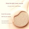 Novo Dual-Action Cushion Foundation & Powder - 13g Cushion + 6.5g Powder - Full Coverage, Waterproof, Hydrating, Dewy Skin Finish - Buildable, Lightweight, Pearl Powder & Bird’s Nest Extract.