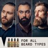 Striking Viking Beard Oil 4 Pack - Softening and Conditioning Beard Oil for Men - Citrus, Vanilla, Sandalwood, & Cedarwood Variety Scents - Enriched with Argan, & Jojoba Oils- Strengthens Beard Growth