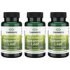 Swanson Spearmint Leaf (Mentha Spicata)-Full Spectrum Herbal Supplement Supporting Digestive Health & Mild Stomach Issues-Natural Formula Supporting Health & Wellness-(60 Capsules, 400mg Each) 3 Pack