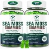 Sugar-Free Sea Moss Gummies 5000mg, Extra Strength Irish Moss Gel Supplement with Iodine, Chlorophyll, Unfiltered ACV, D3, Burdock Root, Bladderwrack for Immune, Digestive, Joint, Skin,Vegan 120 Chews