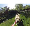 GoPro Fetch Dog Harness - Official GoPro Mount