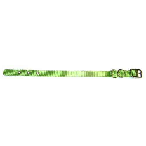 Hamilton 5/8-Inch by 16-Inch Single Thick Nylon Deluxe Dog Collar, Lime Green