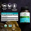 Organic India Gotu Kola Herbal Supplement - Adaptogen for Brain & Nervous System Support, Vegan, Gluten-Free, Kosher, USDA Certified Organic, Non-GMO, Calming, Clarity - 90 Capsules