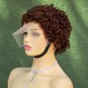 Topnormantic Pixie Cut Short Curly Wigs for Black Women Human Hair Brown Color 13x4 Wet and Curly Lace Front Wigs Pre Plucked with Baby Hair Brazilian Virgin Hair Transparent Glueless Wigs 6 Inch