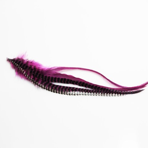 Natural Feather Hair Extensions – 100% Real, Purple Tones, Four Genuine Feathers, Unique Color Va...