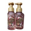 Bath & Body Works Foaming Hand Soap (Strawberry Snowflakes 2 pk)