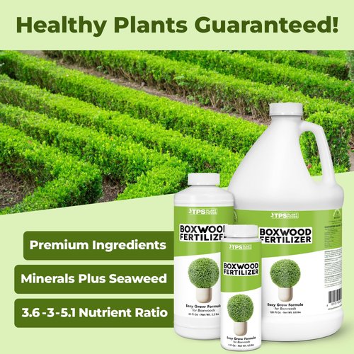 Boxwood Fertilizer, Complete Liquid Boxwood Shrub Plant Food, 8 oz (250mL)