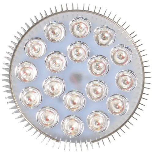 ABI LED Light Bulb for Red Light Therapy, 660nm Deep Red, 54W Class