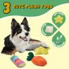 Minrnovas 14 Pack Dog Toys,Puppy Chew Toys for Fun and Teething Cleaning with Sturdy Rope Toys, Interactive Treat Dog Ball and Cute Squeaky Toys,Cotton Squeaky Plush Toys for Medium to Small Dogs