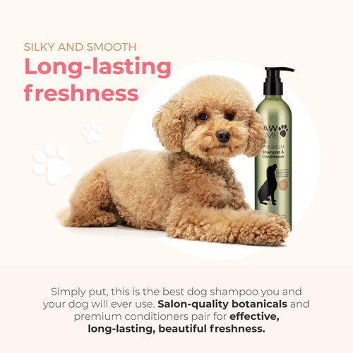 Pawfume Dog Shampoo and Conditioner – Hypoallergenic Dog Shampoo for Smelly Dogs – Best Dog Shampoos & Conditioners – Probiotic Pet Shampoo for Dogs – Best Dog Shampoo for Puppies (Show Dog)