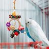 Neeenn Bird Chewing Toys, Hanging Natural Materials Parrot Chew Toy, Bird Cage Accessories, Suitable for Small to Medium Birds Budgie Lovebirds Conures Parakeets Cockatiels