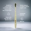 Opalescence 45% Syringes Teeth Whitening Gel - with PF - (4 Syringes) Refill Kit Carbamide Peroxide. w/Toothbrush, in Mint Flavor. Tooth Whitening 5359-2T