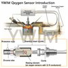 Ywim 2 Pairs Oxygen Sensor Compatible with Chevy 2006 2007 Silverado 1500,Tahoe,2007 Silverado 1500 Classic,Suburban 1500,Avalanche,Suburban 2500 Upper And Lower O2 Sensor 234-4337 234-4112