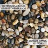 River Rocks Stones for Plants Pebbles for Indoor Plants | Aquarium Fish Tank Rocks | Polished Decorative Rocks for Vases (2 Pound Bag)