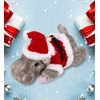 DolliBu Santa Hippo Stuffed Animal Plush - Wild Animal Plush Hippopotamus For Christmas with Red Santa Claus Outfit, Stuffed Plush Hippo Wildlife Gift for Holiday with Name Personalization - 11.5 Inch
