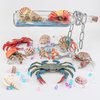 BRETOYIN Jumbo Sea Creatures Toys for Kids Set 8PCS Nautilus Toy Figure Crab Figurine Toys Model Educational Science Shark Toys Boy Birthday Gift