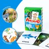 Bear Tale 54PCS Animals Flash Cards for Toddlers 1 2 3 4 5 6 Years Old, Double Sided Cartoon Cards About Land Marine Sky Animals, Educational Learning Toy Gift for Preschool Toddler Flashcards