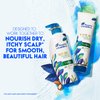 Head and Shoulders Supreme Nourish & Smooth Hair & Scalp Conditioner, 9.4 fl oz