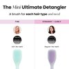 Tangle Teezer Ultimate Detangler Hairbrush, Eliminates Knots & Reduces Breakage, Mini Hair Brush for Travel, Small Hands & All Hair Types, Wisteria Leaf