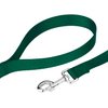 Country Brook Petz - Vibrant 25+ Color Selection - Deluxe Nylon Dog Collar and Leash (Small, 3/4 Inch Wide, Green)