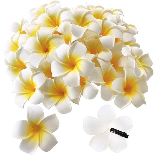 25 Pieces 2.5 Inch White Foam Hawaiian Frangipani Artificial Plumeria Flower Hat Hair Clips for Home Bridal Wedding Luau Tropical Party Beach Vacation Decoration