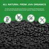Jiva Organics Organic Black Mustard Seeds 7ounce Bag - 100% Natural & Non-GMO