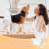 Pet Soft Doggie Diapers - Disposable Dog Diapers for Female in Heat Period or Urine Incontinence, Puppy & Cat Diapers Ultra Absorbent 12pcs XXSmall